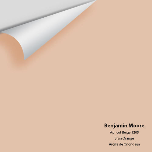 Benjamin Moore - Apricot Beige 1205 Peel & Stick Color Sample