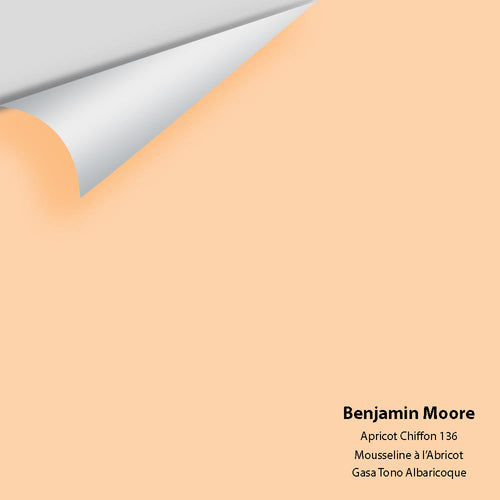 Benjamin Moore - Apricot Chiffon 136 Peel & Stick Color Sample
