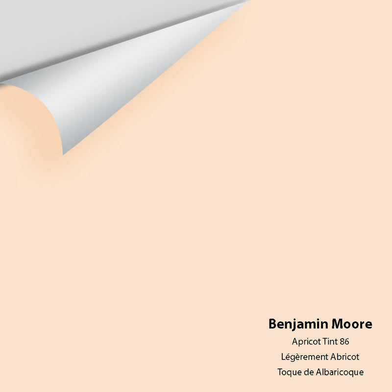 Benjamin Moore - Apricot Tint 86 Peel & Stick Color Sample