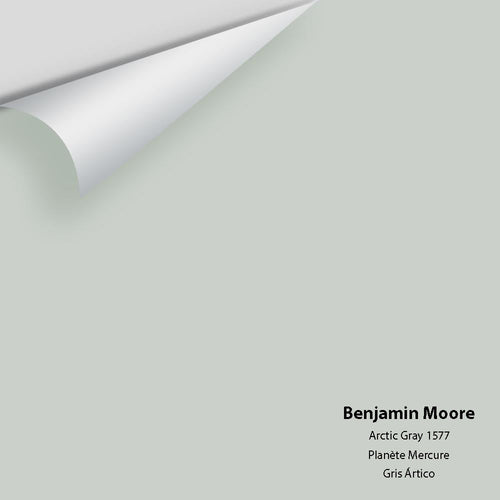 Benjamin Moore - Arctic Gray 1577 Peel & Stick Color Sample