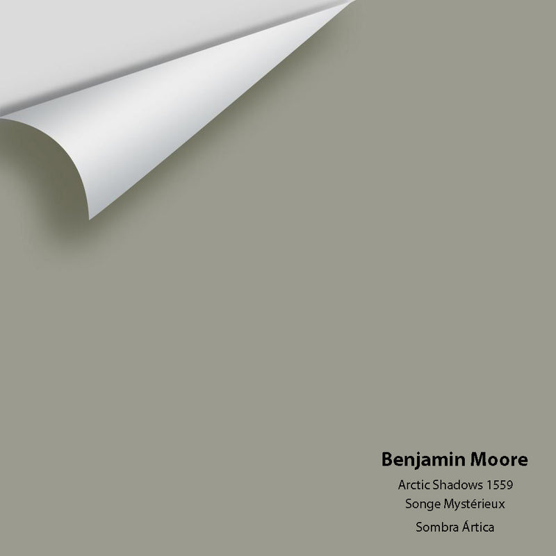 Benjamin Moore - Arctic Shadows 1559 Peel & Stick Color Sample