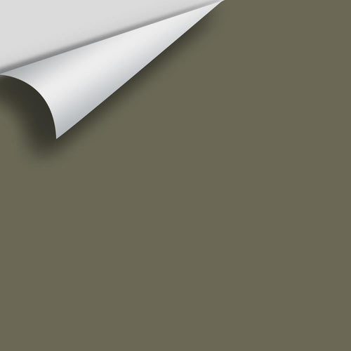 Benjamin Moore - Army Green 2141-30 Peel & Stick Color Sample