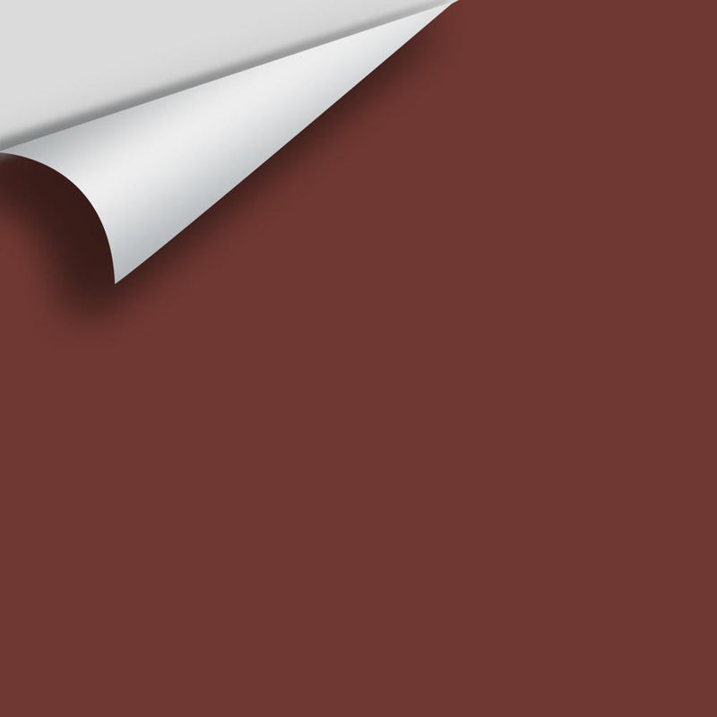 Benjamin Moore - Arroyo Red 2085-10 Peel & Stick Color Sample