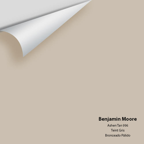 Benjamin Moore - Ashen Tan 996 Peel & Stick Color Sample