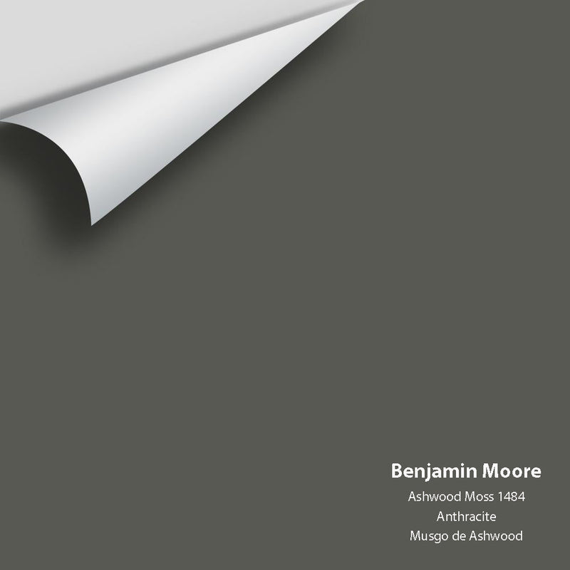 Benjamin Moore - Ashwood Moss 1484 Peel & Stick Color Sample