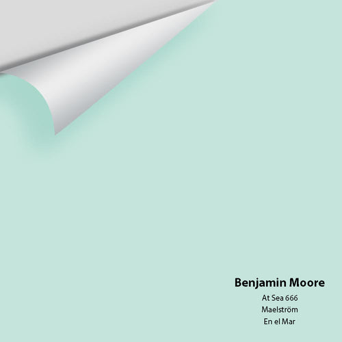 Benjamin Moore - At Sea 666 Peel & Stick Color Sample