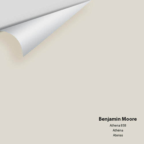 Benjamin Moore - Athena 858 Peel & Stick Color Sample