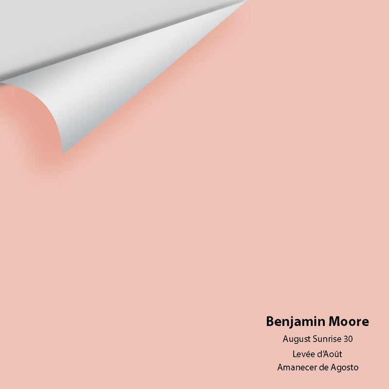 Benjamin Moore - August Sunrise 30 Peel & Stick Color Sample