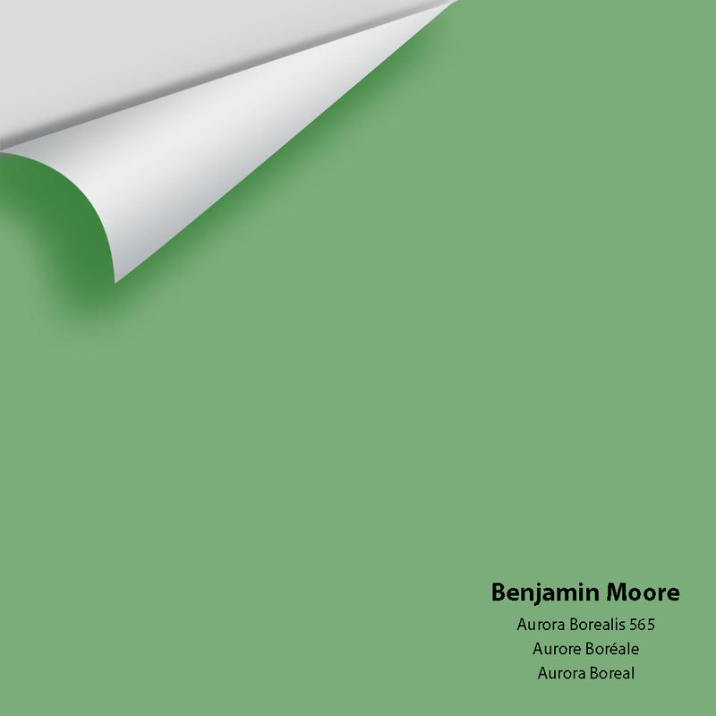 Benjamin Moore - Aurora Borealis 565 Peel & Stick Color Sample