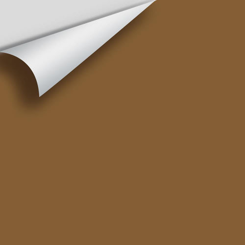 Benjamin Moore - Autumn Bronze 2162-10 Peel & Stick Color Sample