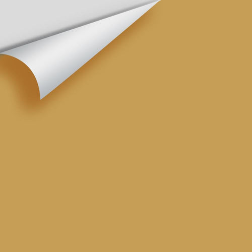 Benjamin Moore - Autumn Gold 2152-30 Peel & Stick Color Sample