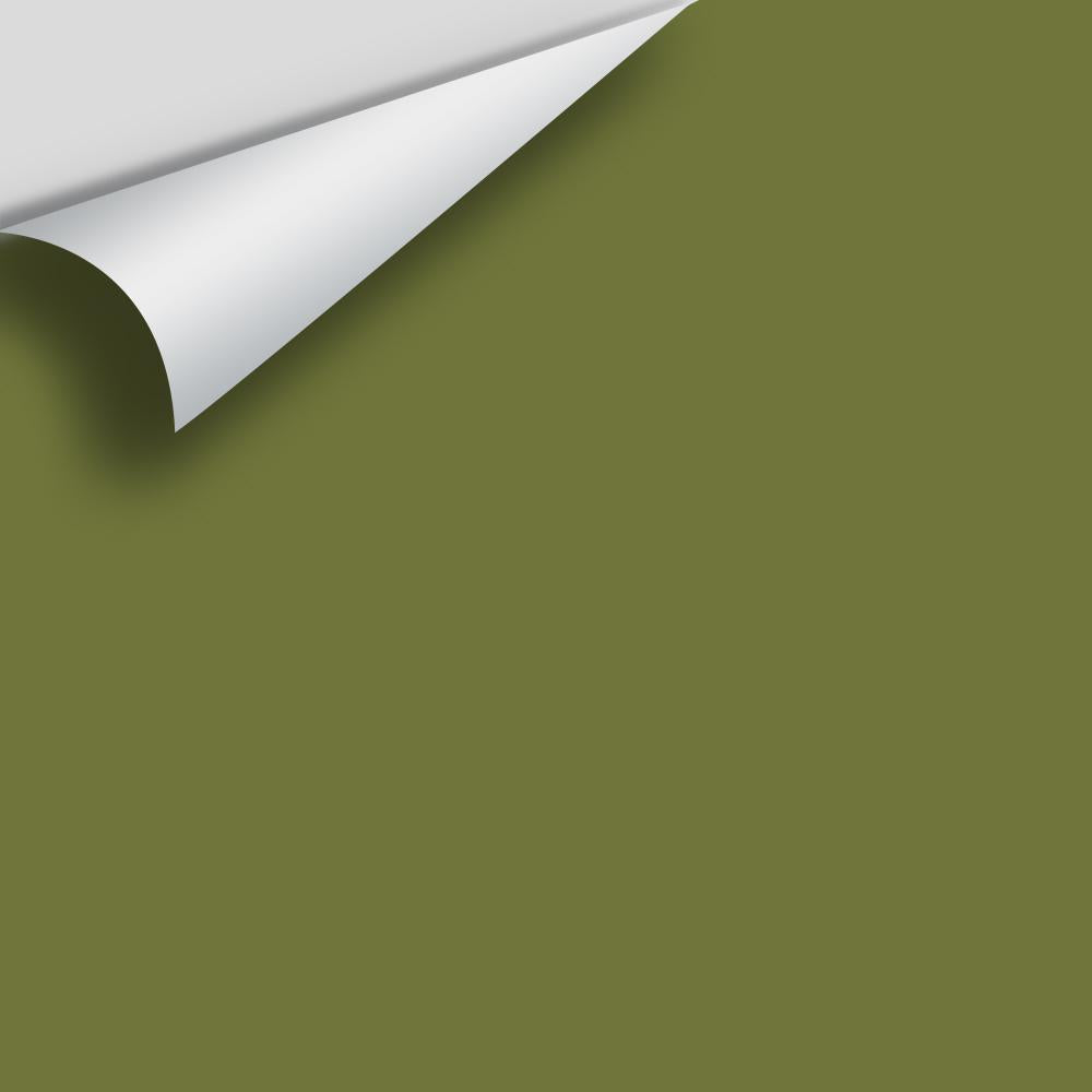 The Color House Benjamin Moore Peel & Stick Paint Samples thecolorhouse