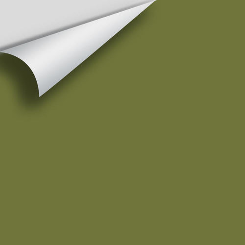 Benjamin Moore - Avocado 2145-10 Peel & Stick Color Sample