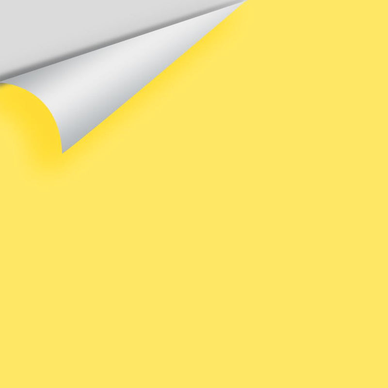Benjamin Moore - Banana Yellow 2022-40 Peel & Stick Color Sample