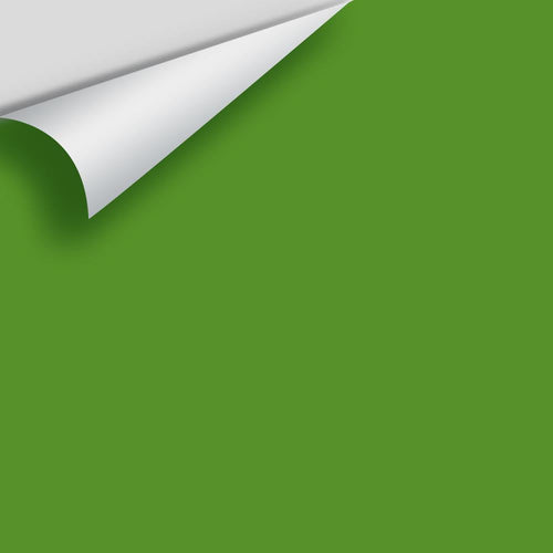 Benjamin Moore - Basil Green 2029-10 Peel & Stick Color Sample