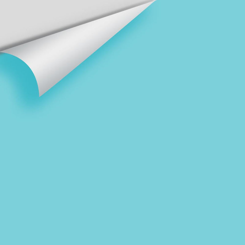 Benjamin Moore - Baby Boy Blue 2056-50 Peel & Stick Color Sample