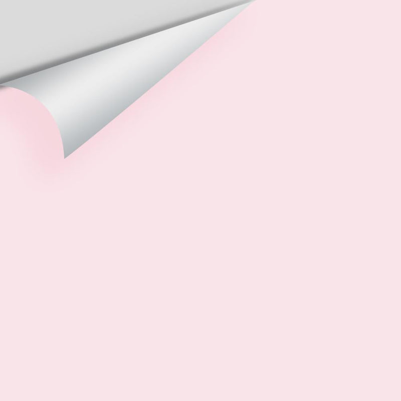 Benjamin Moore - Baby Pink 2085-70 Peel & Stick Color Sample