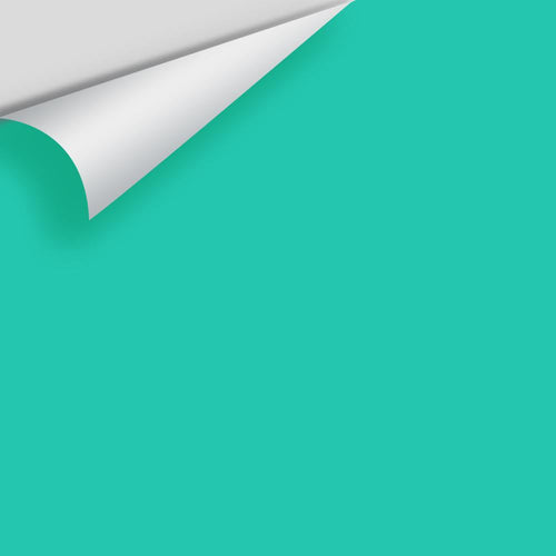 Benjamin Moore - Bahama Green 2045-40 Peel & Stick Color Sample