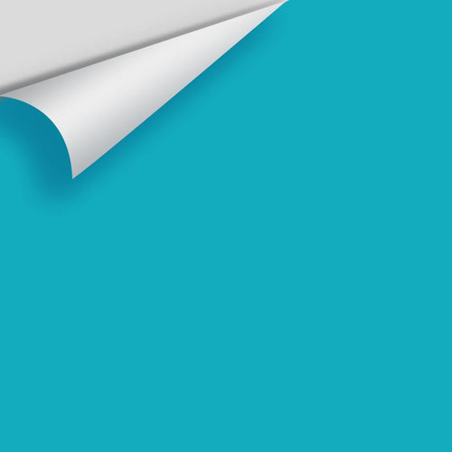 Benjamin Moore - Bahaman Sea Blue 2055-40 Peel & Stick Color Sample