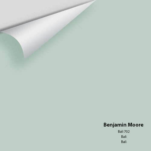 Benjamin Moore - Bali 702 Peel & Stick Color Sample