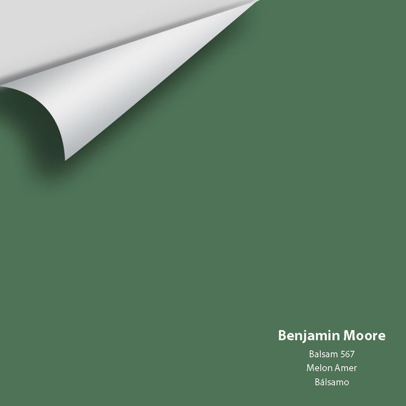 Benjamin Moore - Balsam 567 Peel & Stick Color Sample