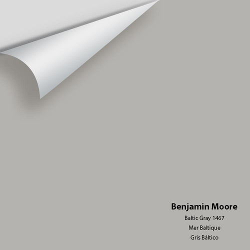 Benjamin Moore - Baltic Gray 1467 Peel & Stick Color Sample