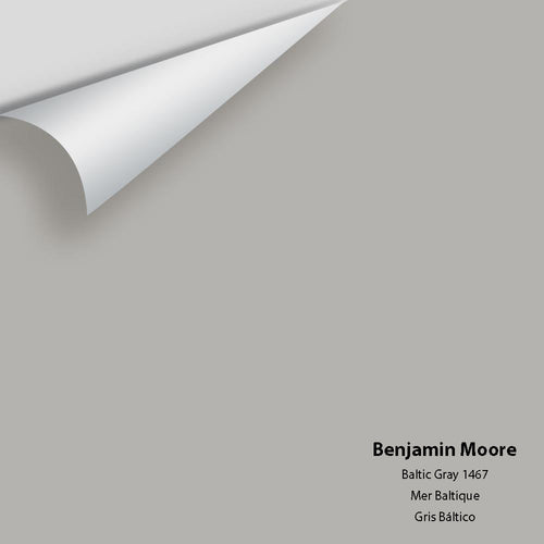 Benjamin Moore - Baltic Gray 1467 Peel & Stick Color Sample
