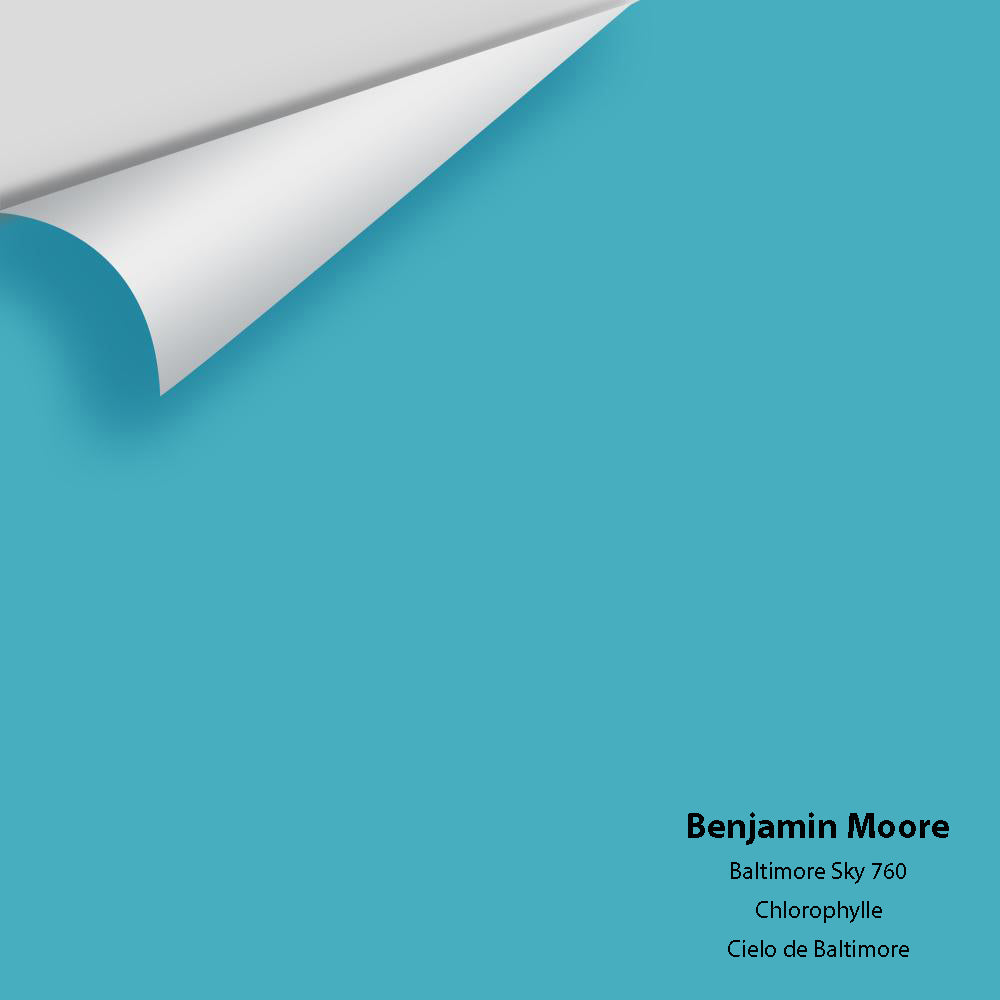 The Color House Benjamin Moore Peel & Stick Paint Samples