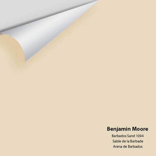 Benjamin Moore - Barbados Sand 1094 Peel & Stick Color Sample