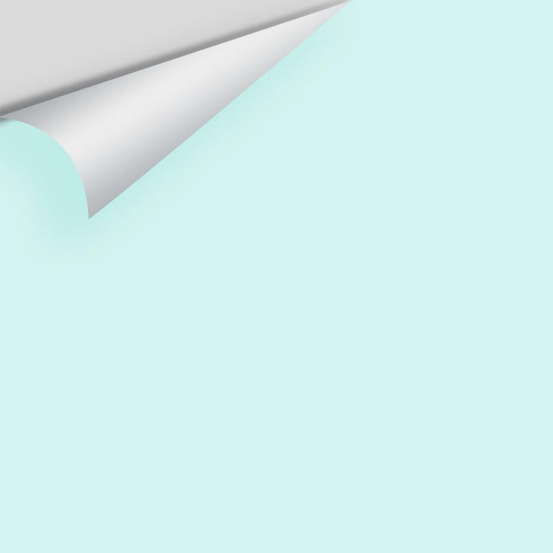 Benjamin Moore - Barely Teal 2048-70 Peel & Stick Color Sample