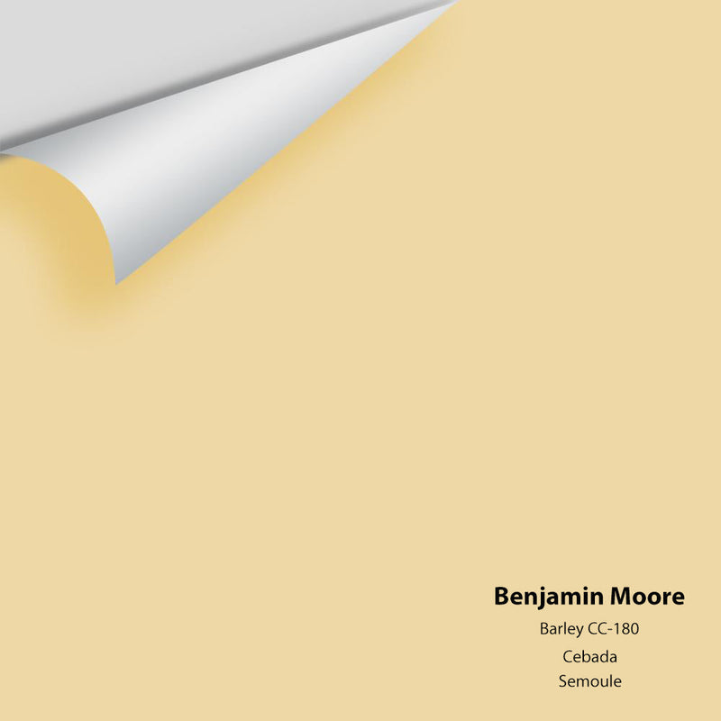 Benjamin Moore - Barley 199/CC-180 Peel & Stick Color Sample