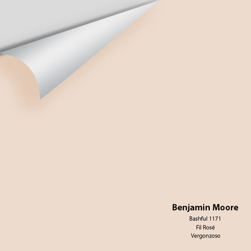 Benjamin Moore - Bashful 1171 Peel & Stick Color Sample