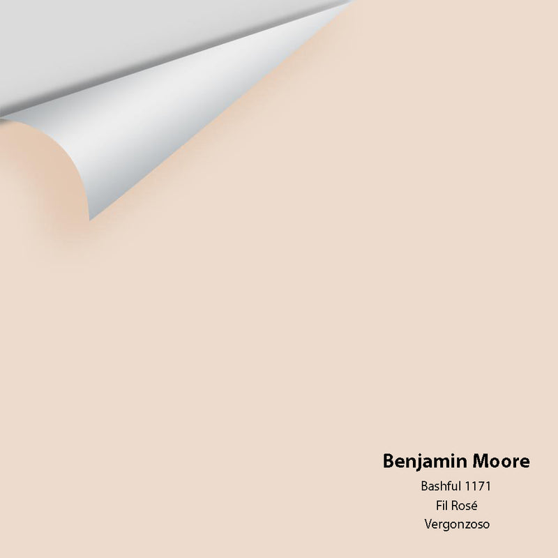 Benjamin Moore - Bashful 1171 Peel & Stick Color Sample
