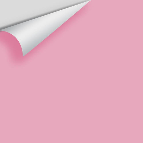 Benjamin Moore - Bayberry 2080-50 Peel & Stick Color Sample