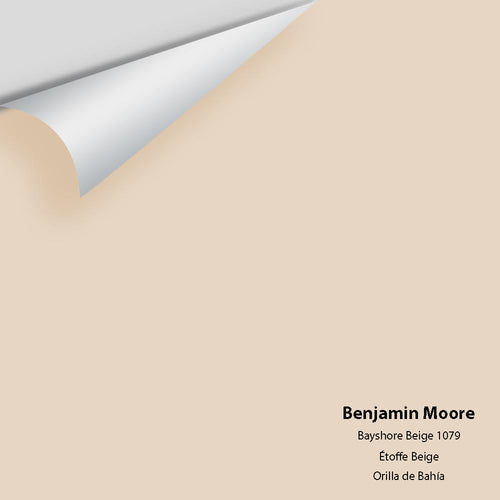 Benjamin Moore - Bayshore Beige 1079 Peel & Stick Color Sample