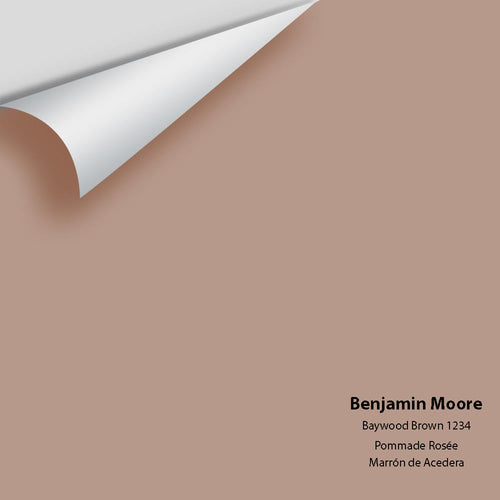 Benjamin Moore - Baywood Brown 1234 Peel & Stick Color Sample