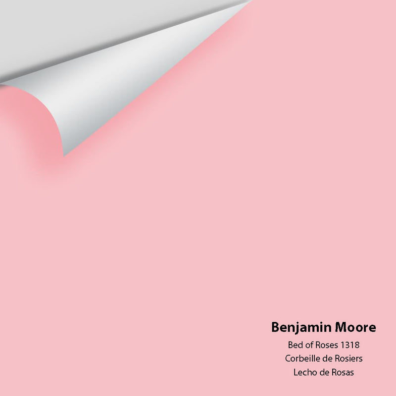 Benjamin Moore - Bed Of Roses 1318 Peel & Stick Color Sample