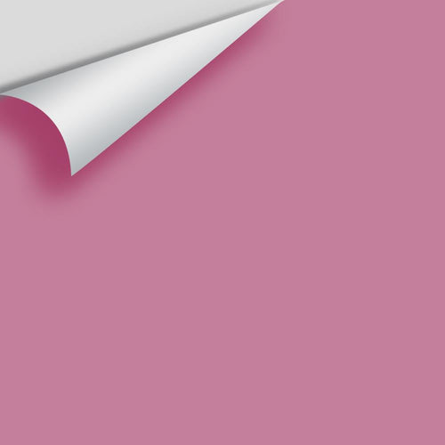 Benjamin Moore - Begonia 2083-40 Peel & Stick Color Sample