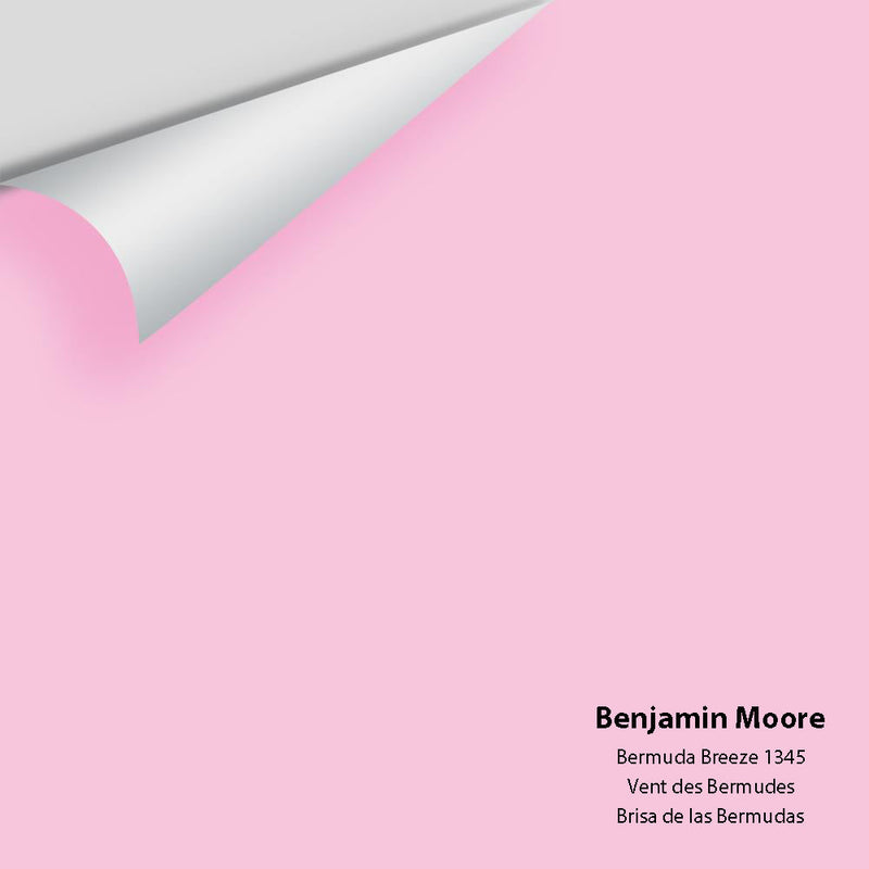 Benjamin Moore - Bermuda Breeze 1345 Peel & Stick Color Sample