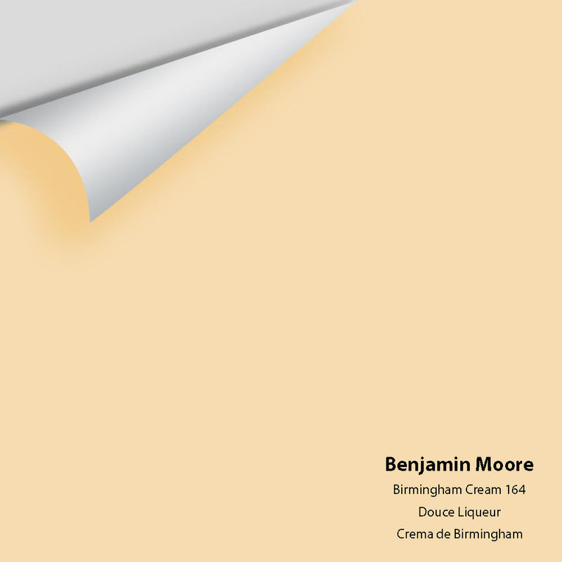 Benjamin Moore - Birmingham Cream 164 Peel & Stick Color Sample