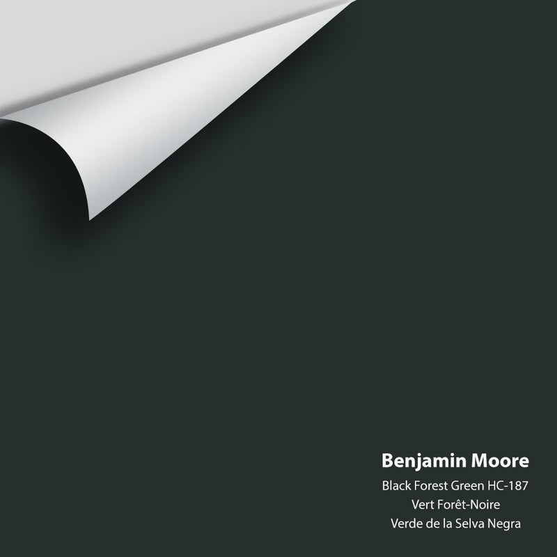 Benjamin Moore - Black Forest Green HC-187 Peel & Stick Color Sample