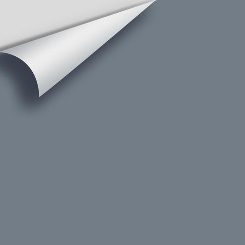 Benjamin Moore - Black Pepper 2130-40 Peel & Stick Color Sample