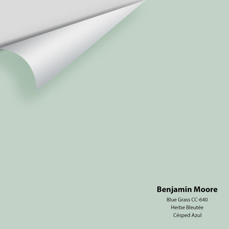 Benjamin Moore - Blue Grass CC-640 Peel & Stick Color Sample