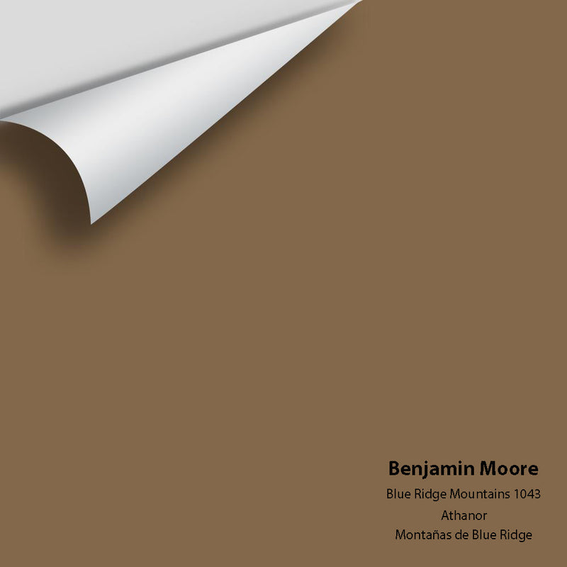 Benjamin Moore - Blue Ridge Mountains 1043 Peel & Stick Color Sample