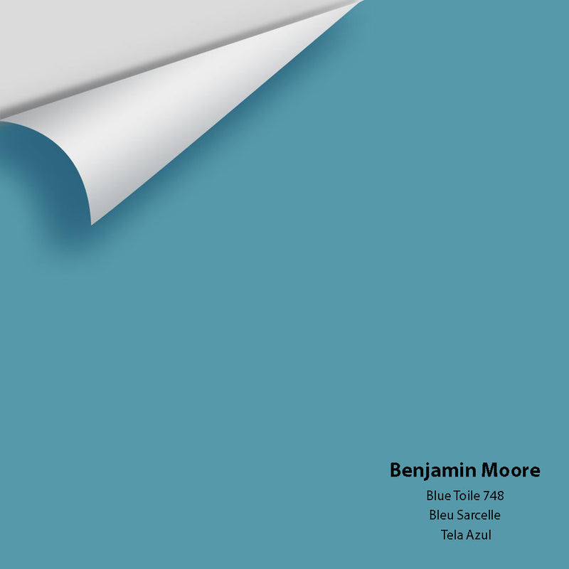 Benjamin Moore - Blue Toile 748 Peel & Stick Color Sample