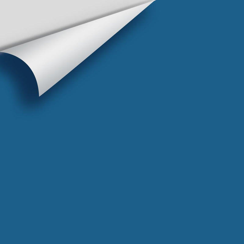 Benjamin Moore - Blueberry 2063-30 Peel & Stick Color Sample