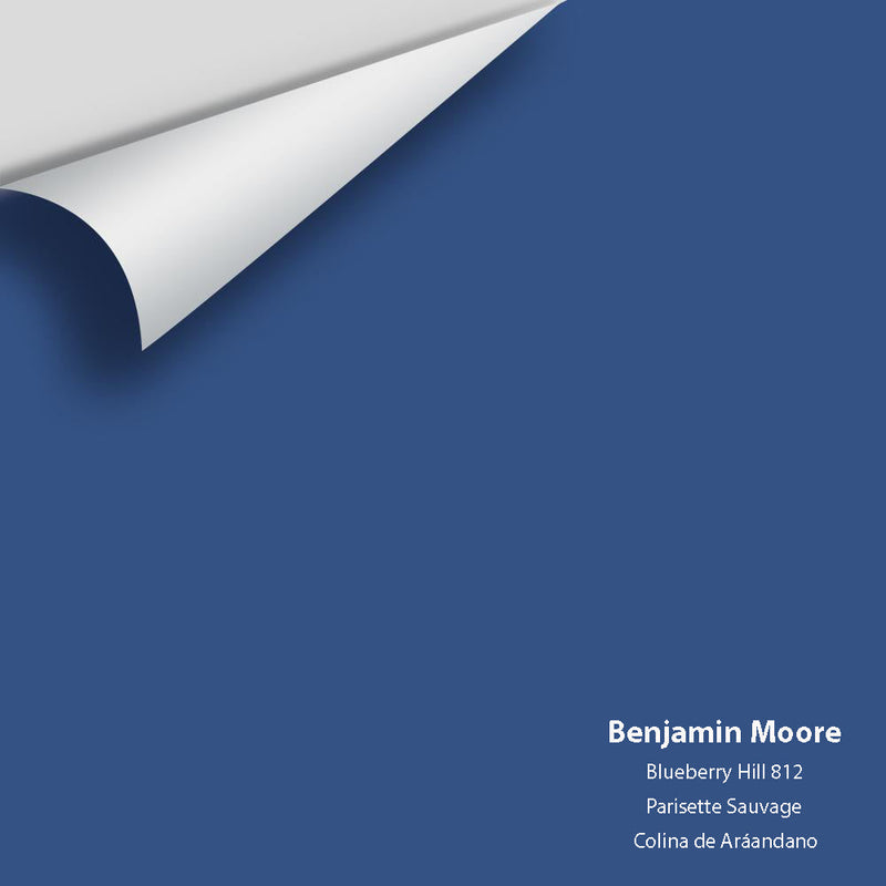 Benjamin Moore - Blueberry Hill 812 Peel & Stick Color Sample