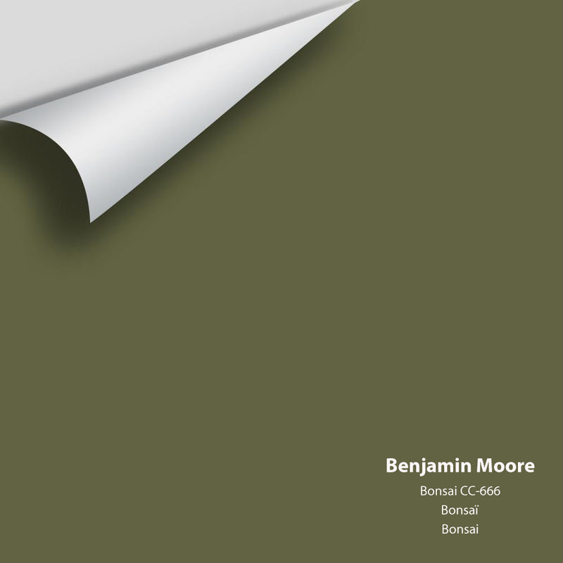 Benjamin Moore - Bonsai CC-666 Peel & Stick Color Sample