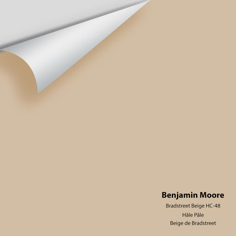 Benjamin Moore - Bradstreet Beige HC-48 Peel & Stick Color Sample