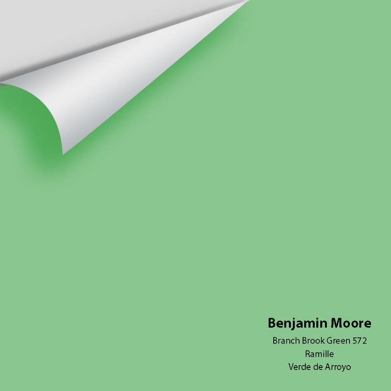 Benjamin Moore - Branch Brook Green 572 Peel & Stick Color Sample